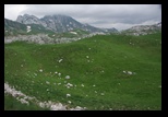Durmitor - Zabljak -30-06-2013 - Bogdan Balaban